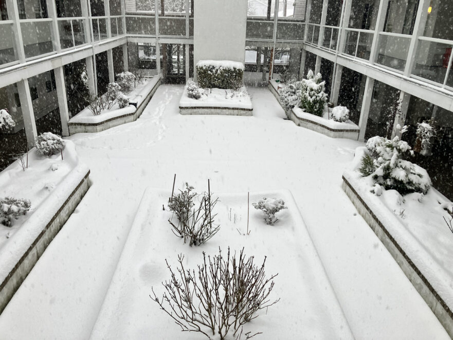 Apartment courtyard covered in snow